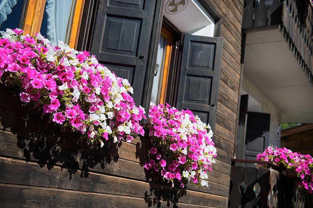Casa Faifer Mountain Holiday Ливиньо Экстерьер фото